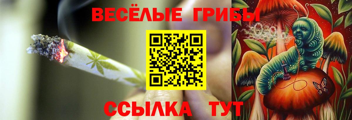 Галлюциногенные грибы Cubensis  Вход с VPN  Ухта 
